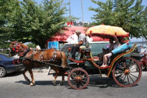 Carriages Seablue 137 | Free Corfu Guide